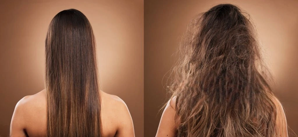 Hair Botox Treatment